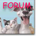 forumindex.jpg